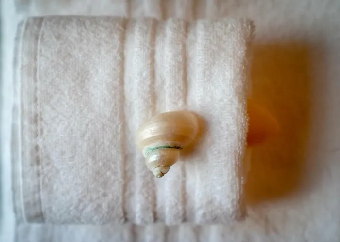 Дом отдыха Il Quadrifoglio